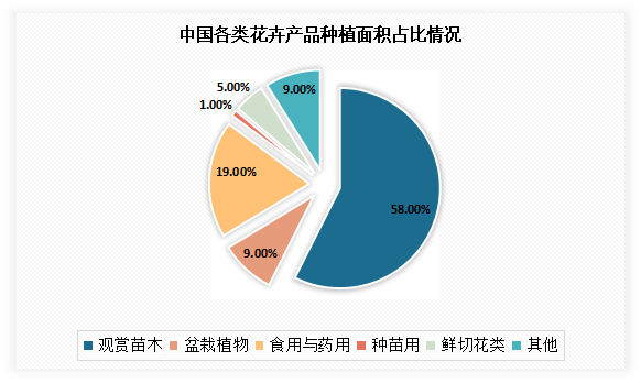 中国盆栽市场竞争态势研究与投资战略调研报告（2022-2023）