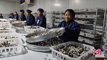 23省市2100余款产品齐聚全国菌博会，《中国食用菌产业年鉴》即将发布